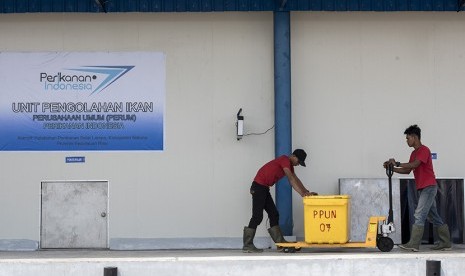 Pekerja membawa ikan menuju Cold Storage Unit Pengolahan Ikan Perum Perindo, Selat Lampa, Kabupaten Natuna, Kepulauan Riau.