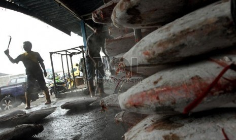  Pekerja membongkar muatan ikan laut di Pelabuhan Samudra Nizam Zahman, Jakarta, Ahad (13/10).  (Republika/Adhi Wicaksono)