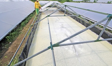 Pekerja memeriksa rumah garam di desa Cemara, Losarang, Indramayu, Jawa Barat, Kamis (3/5). 