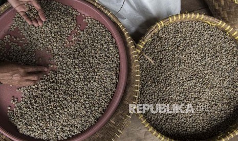 Pekerja memilah biji kopi (green bean) arabika. Pemerintah menargetkan pada tahun 2018 Indonesia menjadi produsen kopi terbesar dunia.