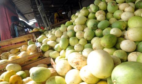 Pekerja memilah timun suri di Pandeglang, Banten.