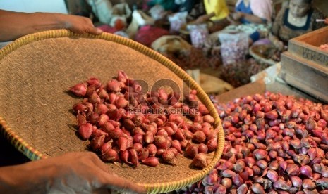 Pekerja memilih bawang merah di Pasar Induk Kramat Jati, Jalarta, Selasa (10/2). (Republika/Prayogi)