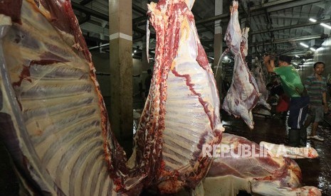 RPH Surabaya Pastikan Disiplin Protokol Kesehatan Qurban. Foto: Pekerja memotong sapi di Rumah Pemotongan Hewan (RPH) Surabaya, Jawa Timur, Senin (11/6) dini hari.