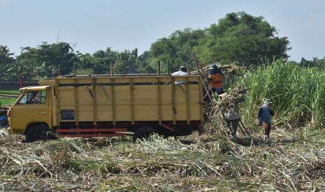 PTPN Berharap Gula Kemasan Golatta Bisa Diterima Pasar