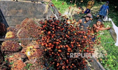 Workers transport oil palm into trucks at an oil palm plantation in Mesuji raya, Ogan Komering Ilir, South Sumatra.