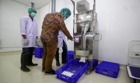 Pekerja mengawasi proses pengemasan jahe di gudang Kawasan Industri Halal (KIH) Sidoarjo Safe and Lock Halal Industrial Park di Sidoarjo, Jawa Timur, Rabu (20/7/2022). Kawasan industri halal pertama Indonesia tersebut diharapkan menjadi support system yang mampu mendorong perkembangan industri produk halal untuk pelaku UMKM. Kemenag Optimistis Indonesia Bisa Jadi Pusat Industri Halal Dunia