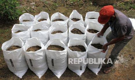 Pekerja mengolah dan mengemas pupuk organik di Desa Ujong Baroh, Kecamatan Johan Pahlawan, Aceh Barat, Aceh (ilustrasi). PT Pupuk Indonesia (Persero) mendorong pengembangan produk organik.