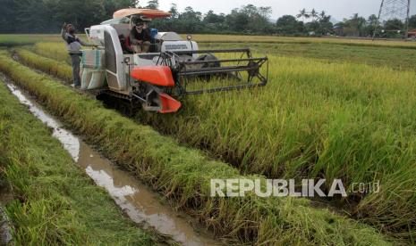  Kementan: Kami Menjaga Produksi dan Kesejahteraan Petani