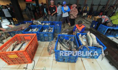 Pekerja mengumpulkan ikan hasil tangkapan nelayan di tempat pelelangan ikan Karangsong, Indramayu, Jawa Barat, Ahad (31/1/2021). Kementerian Kelautan dan Perikanan (KKP) mencatat Penerimaan Negara Bukan Pajak (PNBP) perikanan tangkap pada tahun 2020 mencapai Rp600,4 miliar, meningkat dari tahun 2019 yang hanya mencapai sebesar Rp521,37 miliar. 