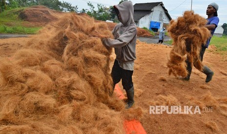 Pekerja mengumpulkan serabut kelapa setelah dijemur (Ilustrasi)