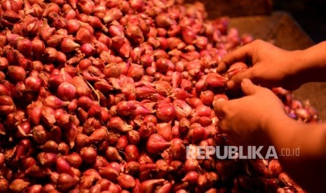 Pekerja mengupas bawang merah di Pasar Induk Kramat Jati, Jakarta, Ahad (28/8). (Republika/Wihdan)