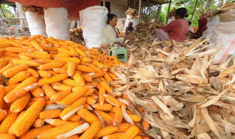 Dua bank sampah binaan PLN mengolah bonggol jagung untuk menghasilkan bahan bakar pengganti batubara. (ilustrasi).