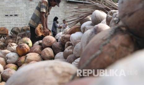 Pekerja mengupas sabut kelapa untuk dijadikan kopra di Desa Lamundre, Watubangga, Kolaka, Sulawesi Tenggara, Minggu (7/10). Produksi buah kelapa yang meningkat mengakibatkan harga kopra kering turun dari Rp6.000 menjadi Rp4.800 per kilogram.