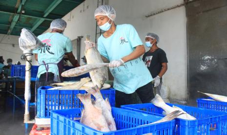 Pekerja menimbang ikan beku (ilustrasi).