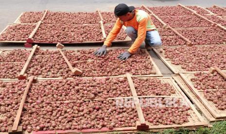 Pekerja menjemur bawang merah jenis Karet di pusat jual beli bawang kompleks pasar Legi Parakan, Temanggung, Jateng, Selasa (1/3/2022). Pedagang bawang merah keluhkan masuknya bawang merah impor dari India yang mengakibatkan harga bawang merah lokal anjlok, saat ini harga bawang merah lokal berkisar dari Rp15 ribu -Rp16 Ribu per kilogram sedangkan harga bawang merah impor berkisar Rp8 ribu - Rp9 ribu per kilogram. 