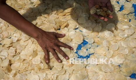 Pekerja menjemur emping melinjo di industri rumahan Batas Kota di Tersono, Kabupaten Batang, Jawa Tengah, Selasa (26/10/2021). Menurut produsen itu, dalam satu minggu mampu memproduksi emping melinjo sekitar delapan kuintal kondisi basah dan kondisi kering sekitar tujuh kuintal, dengan harga Rp42 ribu per kilogram kualitas lokal dan antara Rp48 ribu-Rp50 ribu per kilogram kualitas super yang dipasarkan hingga ke Bali dan Pontianak. 