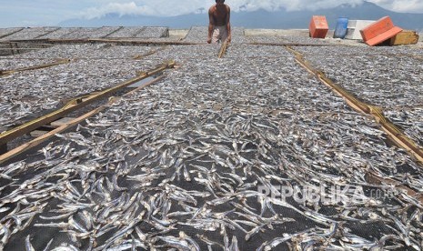 Pekerja menjemur ikan teri untuk dikeringkan di Perkampungan Nelayan, Kelurahan Mamboro, Palu Utara, Sulawesi Tengah, Sabtu (28/4).