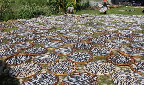 Pekerja menjemur kerupuk kulit ikan patin di desa Kenanga, Indramayu, Jawa Barat. Badan Kebijakan Fiskal Kementerian Keuangan mencatat realisasi anggaran Program Pemulihan Ekonomi Nasional (PEN) per 28 April sebesar Rp 70,37 triliun. Adapun realisasi tersebut merupakan 15,4 persen dari total pagu anggaran Program PEN tahun ini sebesar Rp 455,62 triliun.