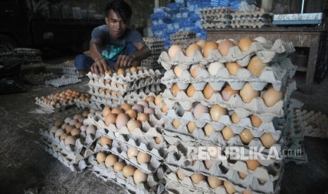  Pekerja mensortir telur ayam untuk dikirim ke warung-warung di agen penjualan telur Agung Jaya, Menteng Atas, Jakarta, Ahad (26/3). 