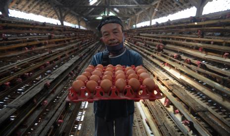 Pekerja menunjukan hasil panen telur ayam (ilustrasi). Sejak harga telur ayam ras meroket menembus angka Rp 28.000 per kilogram (Kg), sejumlah warga Baturaja, Kabupaten Ogan Komering Ulu, Sumatra Selatan terus 'berburu' membeli telur pecah yang dijual pedagang karena harganya relatif lebih murah.