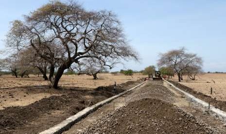 Pekerja menyelesaikan pembangunan jalan di Taman Nasional Baluran, Situbondo, Jawa Timur, (ilustrasi). 