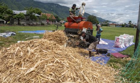 Dosen Universitas Muria Kudus ubah Bonggol Jagung Jadi Aneka Kerajinan (ilustrasi).