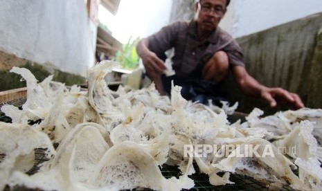  Pekerja penangkaran burung walet menyortir sarang walet selepas panen.