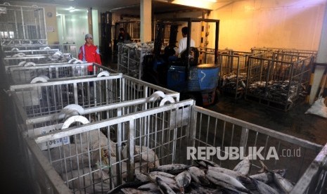  Pekerja sedang melakukan bongkar muat pada gudang ruang pendingin (cold storage) ikan (ilustrasi). PT Surabaya Industrial Estate Rungkut (SIER) menjajaki potensi bisnis cold storage perikanan di Sorong, Papua Barat Daya.