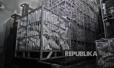 Pekerja sedang melakukan bongkar muat pada gudang ruang pendingin (Cold Storage) ikan di Jakarta, Jumat (12/2).  (Republika/Tahta Aidilla)