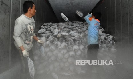 Pekerja sedang melakukan bongkar muat pada gudang ruang pendingin (Cold Storage) ikan di Jakarta, Jumat (12/2).  (Republika/Tahta Aidilla)