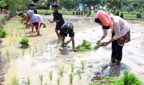 Pelajar SD di Kecamatan/Kabupaten Purwakarta, saat mengikuti Festival Maneuh di Sunda, yang diselenggarakan oleh SMPN 10 Purwakarta, Rabu (13/3). Para pelajar ini, mengikuti lomba tandur (tanam padi), ngurek belut, dan ngagubyag balong.