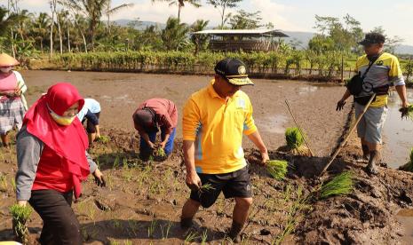 Petani Dusun Mendut Sambut Baik LTT