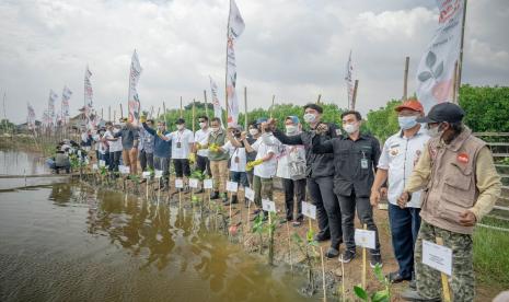 Pelaksanaan program pemberdayaan lingkungan Penanaman Mangrove.