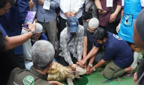 Pelatihan Juru Sembelih Halal (Juleha) yang diadakan di Masjid Salman