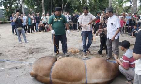 Pelatihan penyembelihan hewan kurban di Masjid Ar Rahmah Krapyak, Sidoarum, Godean, Sleman, DI Yogyakarta.