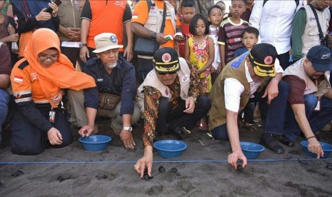 Pelepasan tukik atau anak penyu ke Samudera Hindia yang dilkukan pejabat-pejabat lembaga penanggulangan bencana dalam Ekspedisi Destana Tsunami 2019 di Pantai Boom, Desa Kampungmandar, Kabupaten Banyuwangi, Jawa Timur.