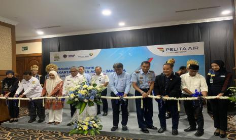 Pelita Air buka rute penerbangan ke Aceh