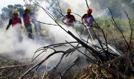 Pemadaman Api di sejumlah Hutan di Sumatera