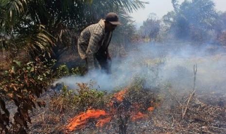 Pemadaman hutan oleh petani (ilustrasi)