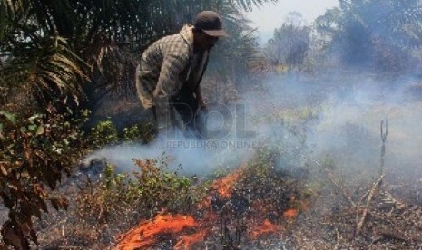 Pemadaman hutan oleh petani (ilustrasi)