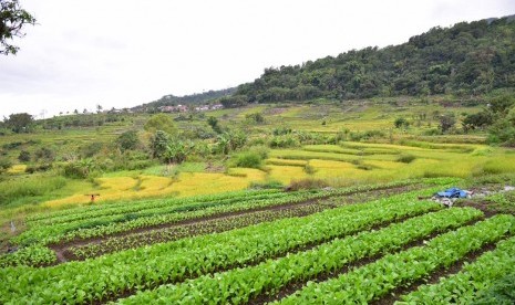 Pemandangan Desa Waturaka, Kecamatan Kelimutu, Kabupaten Ende.