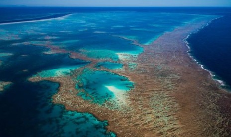 Pemandangan Great Barrier Reef dari atas langit. Polusi yang semakin bertambah di gugusan terumbu karang Great Barrier Reef, Australia, mengancam keberlangsungan hidup lumba-lumba di sekitar area tersebut.