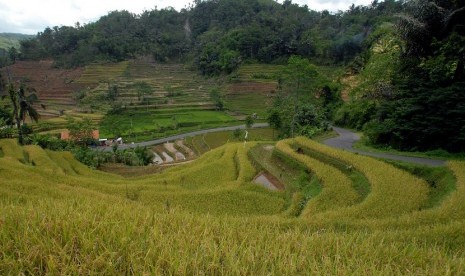 Pemandangan lahan pertanian di Desa Deudel, Tasikmalaya, Jawa Barat.