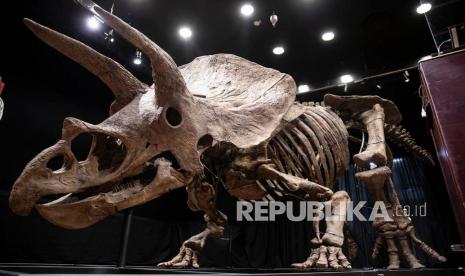  Dua aktivis lingkungan menggelar aksi merekatkan diri pada pameran kerangka dinosaurus di Natural History Museum di Berlin 