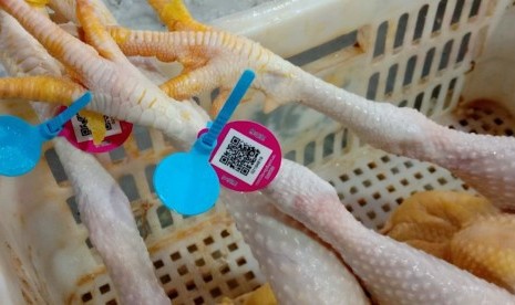 Pemasangan kode QR pada ayam di pasar basah Luo Jia Zhuang di Hangzhou, China.