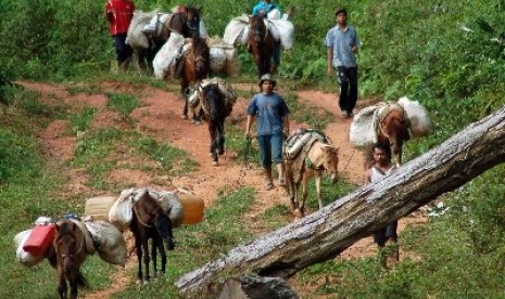 Pembangunan infrastruktur menjadi masalah serius yang perlu dilakukan di daerah tertinggal di Kabupaten Solok.