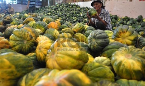  Pembeli memilah blewah di pasar Induk Kramat Jati, Jakarta Timur, Selasa (9/7).   (Republika/Rakhmawaty La'lang)