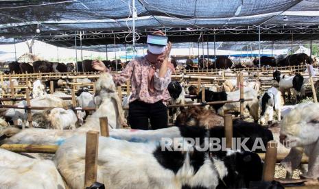 Pembeli mencoba pengalaman belanja ke kandang dengan menggunakan teknologi Virtual Reality di kawasan pasar kurban Merr Surabaya, Jawa Timur, Kamis (15/7/2021). Penjual hewan kurban menawarkan secara digital dengan aplikasi ternaknesia untuk pembelian hewan kurban dan belanja ke kandang dengan teknologi Virtual Reality (VR) selama masa Pemberlakuan Pembatasan Kegiatan Masyarakat (PPKM) Darurat. 