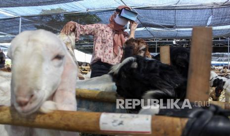 Pembeli mencoba pengalaman belanja ke kandang dengan menggunakan teknologi Virtual Reality di kawasan pasar kurban Merr Surabaya, Jawa Timur, Kamis (15/7/2021). Penjual hewan kurban menawarkan secara digital dengan aplikasi ternaknesia untuk pembelian hewan kurban dan belanja ke kandang dengan teknologi Virtual Reality (VR) selama masa Pemberlakuan Pembatasan Kegiatan Masyarakat (PPKM) Darurat.