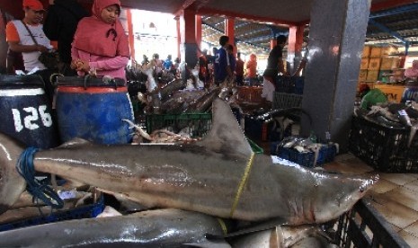 Pembeli mengamati ikan hiu yang dijual di tempat pelelangan ikan Karangsong, Indramayu, Jawa Barat.